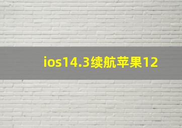 ios14.3续航苹果12